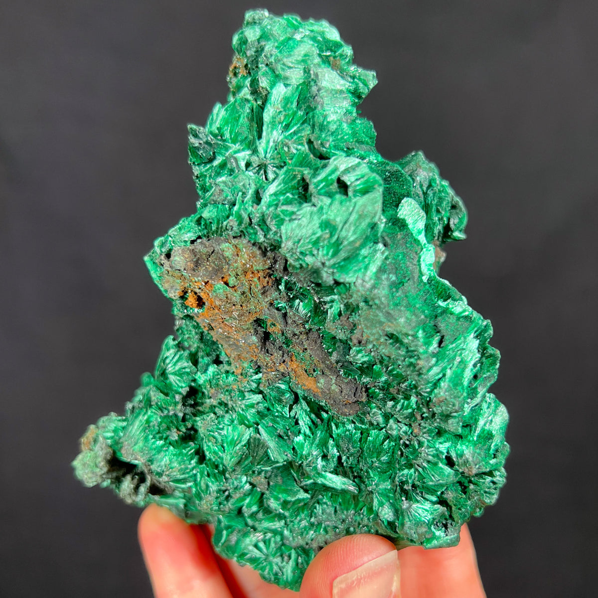 Fibrous Malachite Mineral Specimen Raw