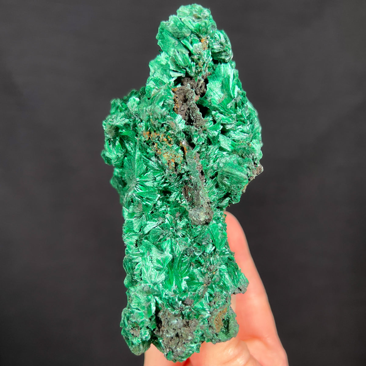 Side View Malachite Mineral Specimen