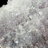 Close up of flower amethyst