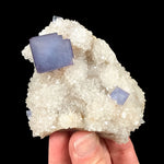 Fluorite on Quartz - Blanchard Mine, New Mexico