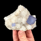 Purple and Blue Fluorite Cubes from Blanchard Mine, New Mexico