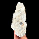 Back side of specimen