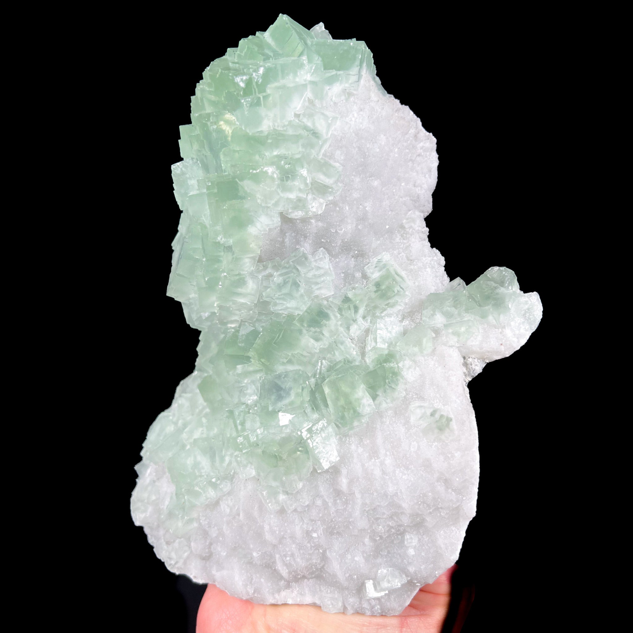 Large Mineral Specimen of Light Green Fluorite Crystal Cubes on White Drusy Quartz Crystals