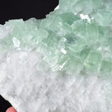 Close Up of Light Green Cubic Fluorite Crystals on White Drusy Quartz Crystals