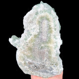 Back of Specimen