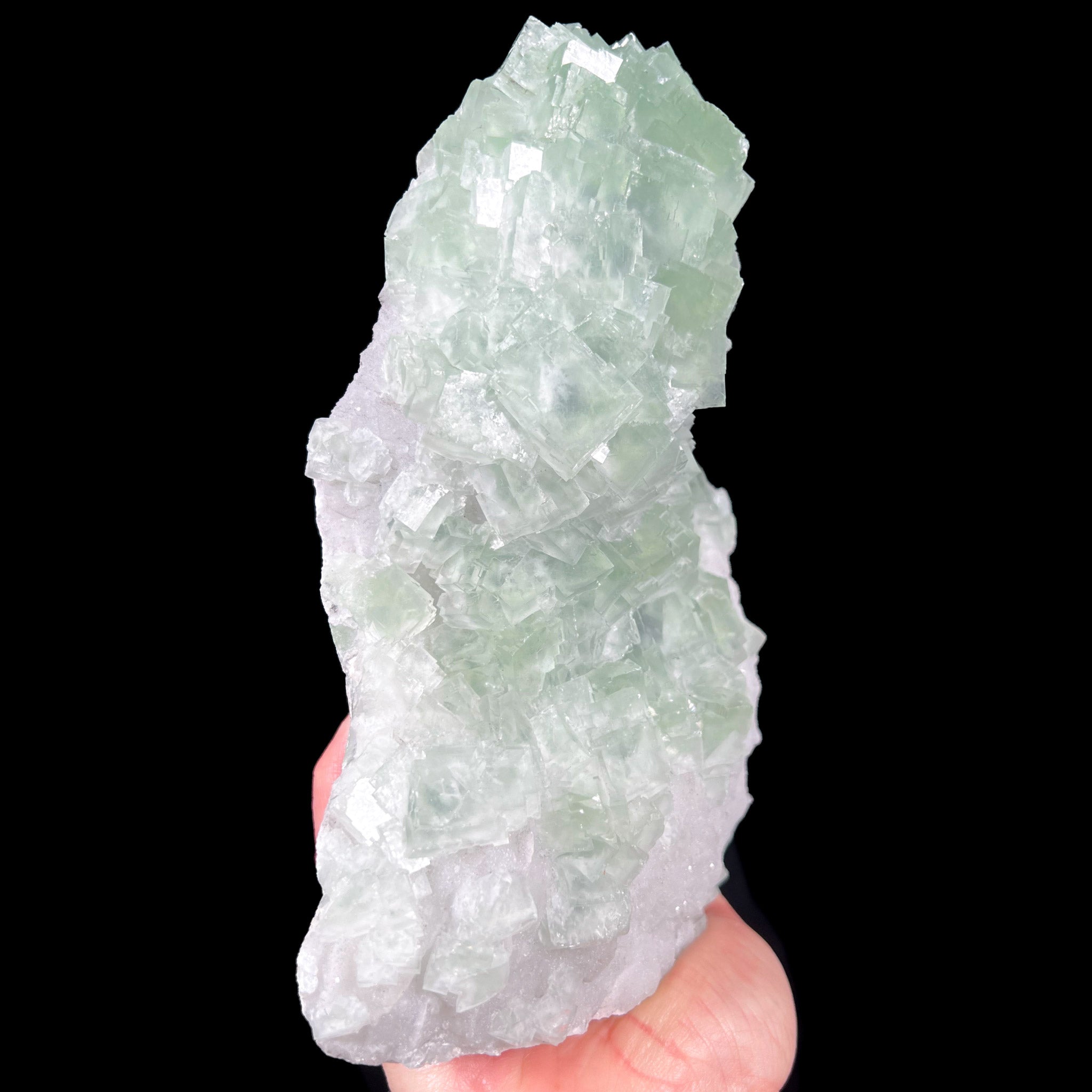 Side View of Large Cubic Fluorite Crystals on Drusy Quartz