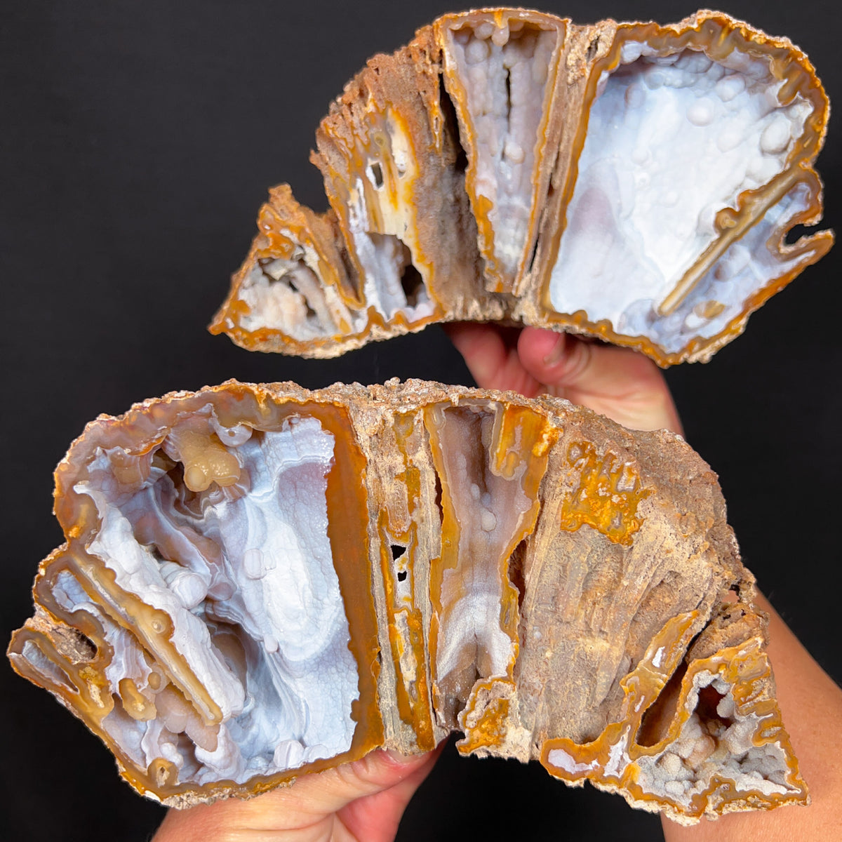 Fossilized Coral with Chalcedony crystals inside