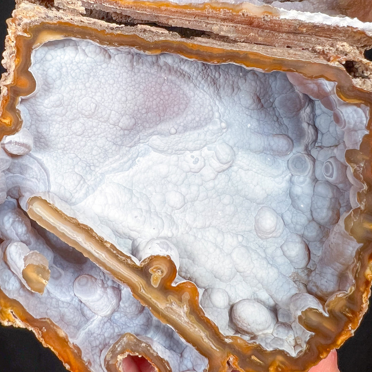 Botryoidal and Stalactitic Chalcedony Crystals Inside Fossil Coral