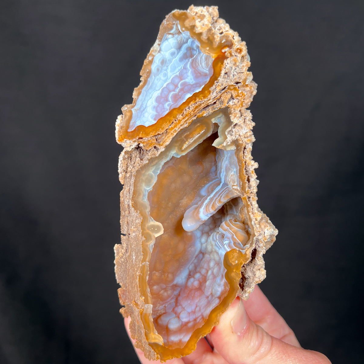 Interior of Fossilized Coral Pair with Chalcedony Crystals