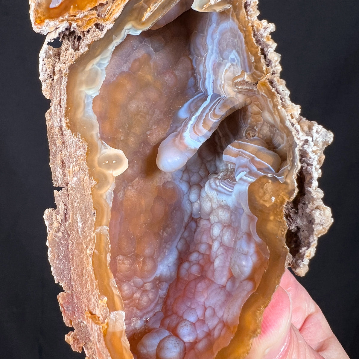 Chalcedony Stalactite inside Fossil Coral