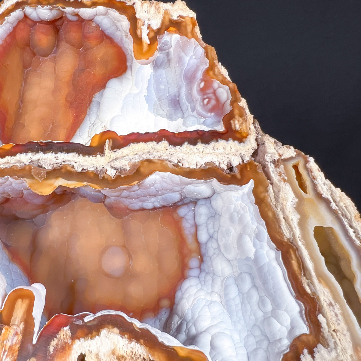 Close Up of Chalcedony Crystals Inside of Fossil Coral