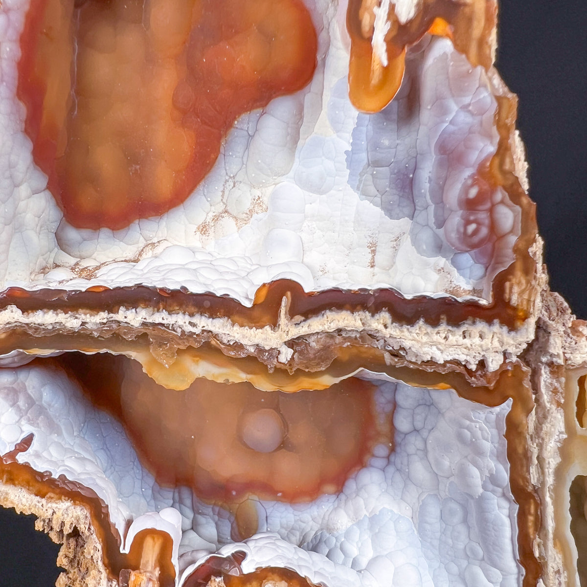 Interior of Fossilized Coral Pair Showing Chalcedony Crystals