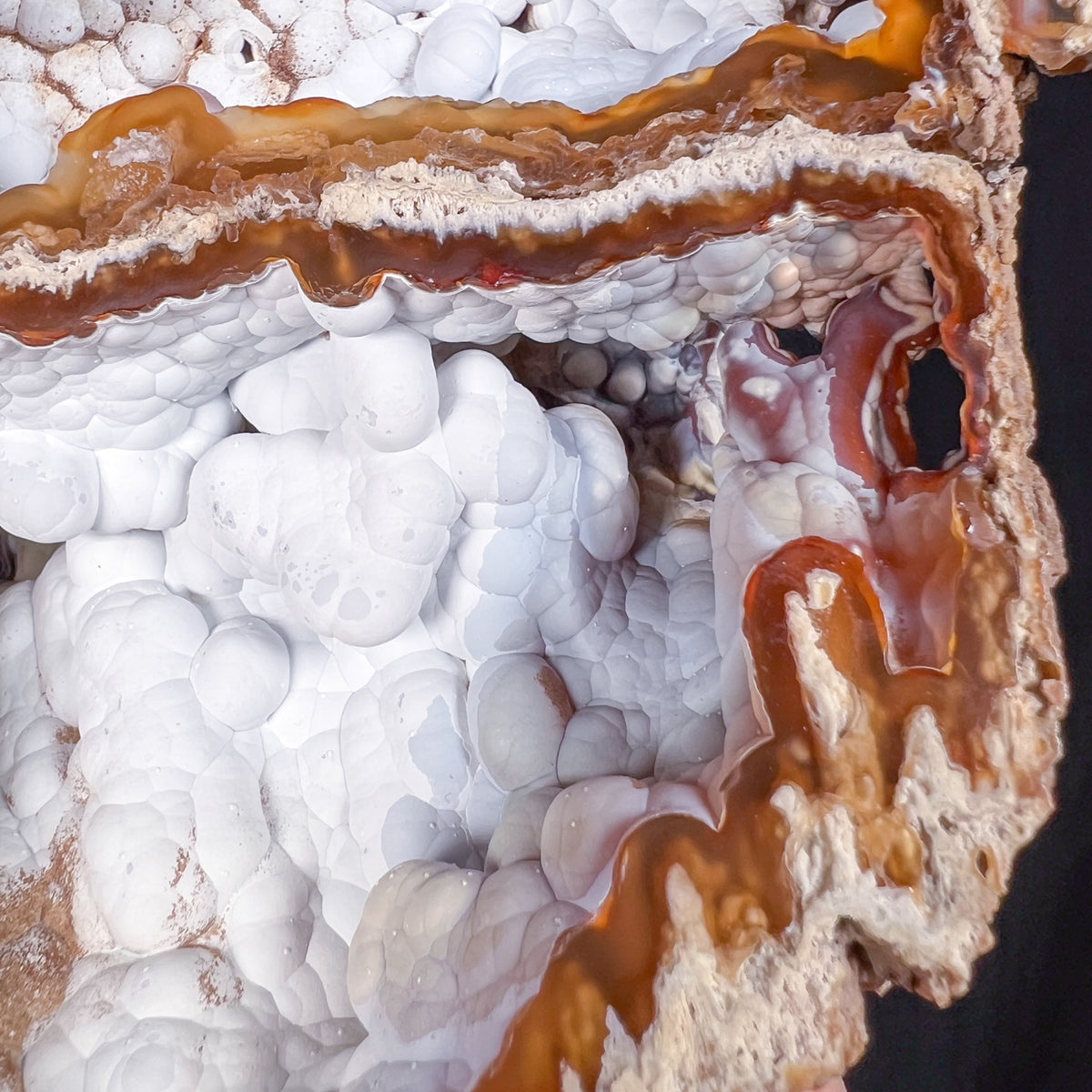 Botryoidal Chalcedony crystals inside Fossilized Coral
