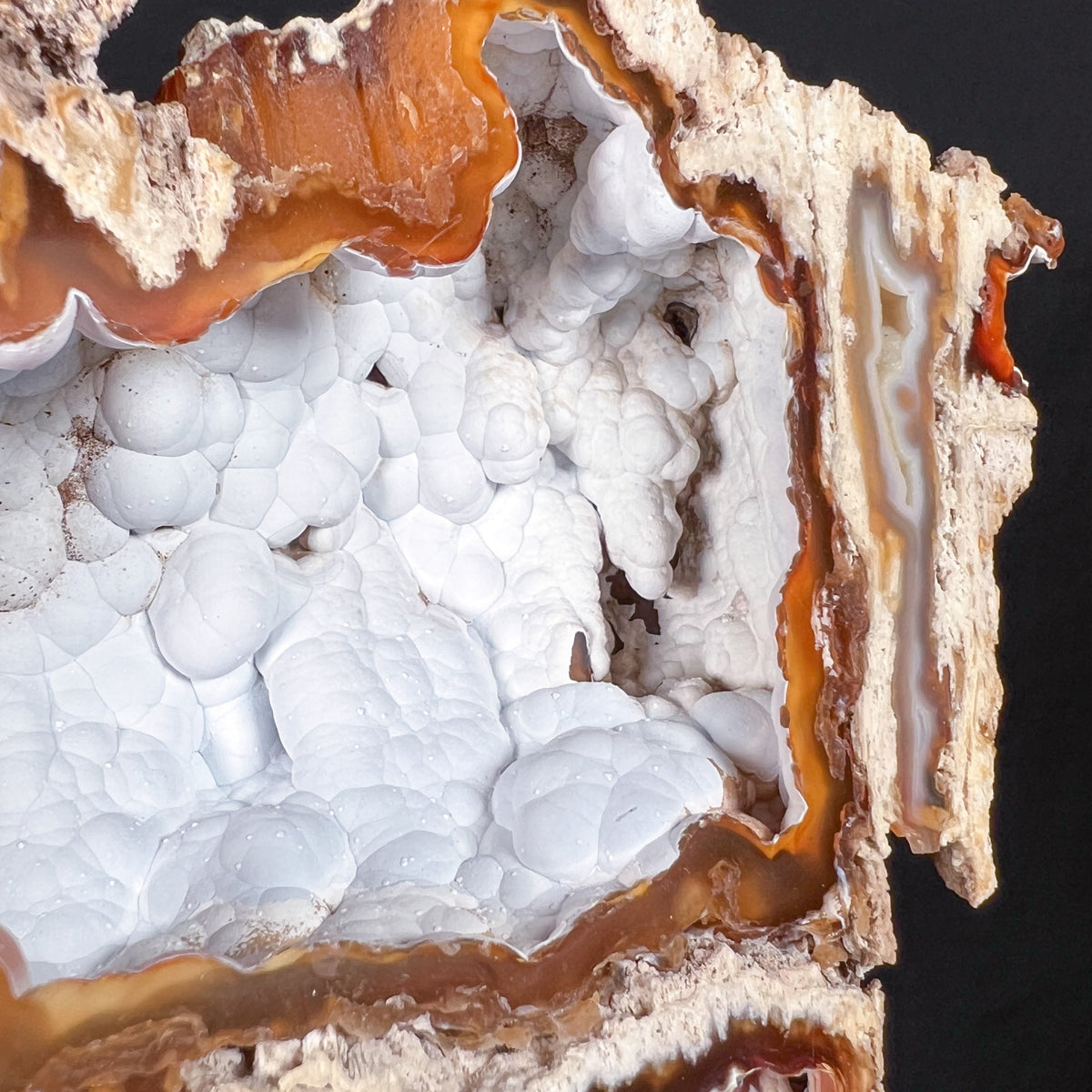 Chalcedony bubbles inside Fossil Coral