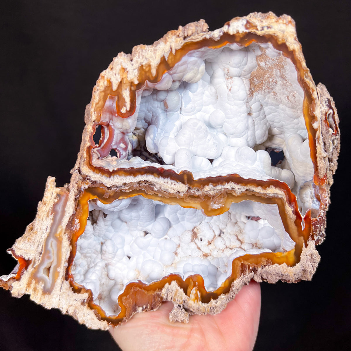 Interior of Fossilized Coral with Chalcedony replacement