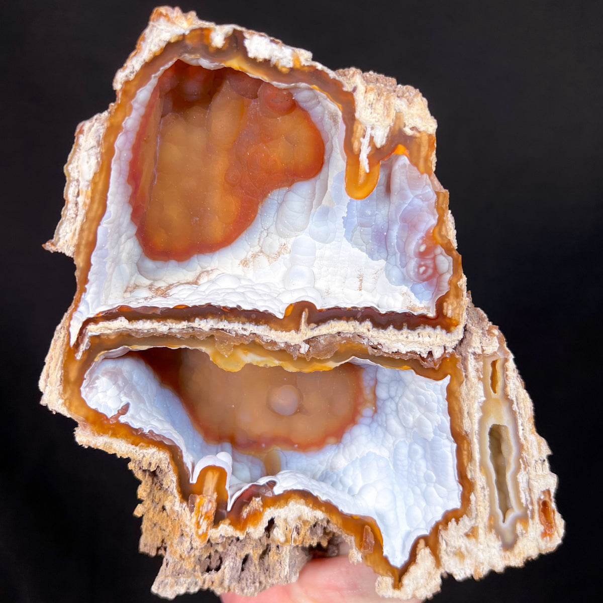Stalactitic and Botryoidal Chalcedony Crystals Inside Fossil Coral