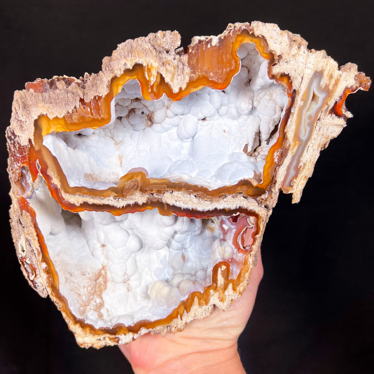 Fossilized Coral with Crystalline Chalcedony Inside