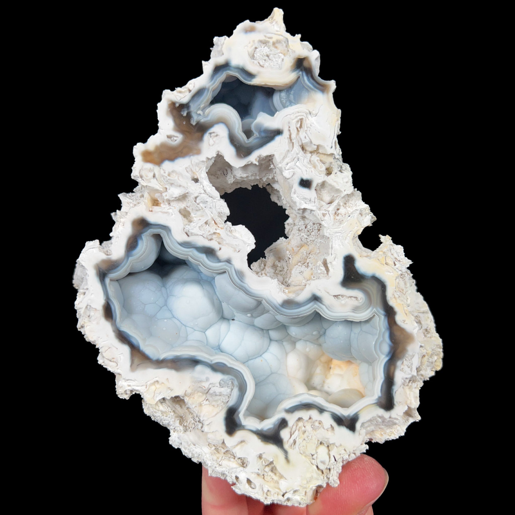Fossil Coral with Chalcedony Crystals Inside
