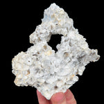 Exterior of Fossil Coral
