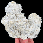 Exterior of Fossil Coral