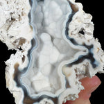 Chalcedony Inside Fossil Coral