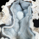 Botryoidal Chalcedony Crystals Inside Fossil Coral