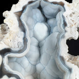 Botryoidal Chalcedony Crystals Inside Fossil Coral