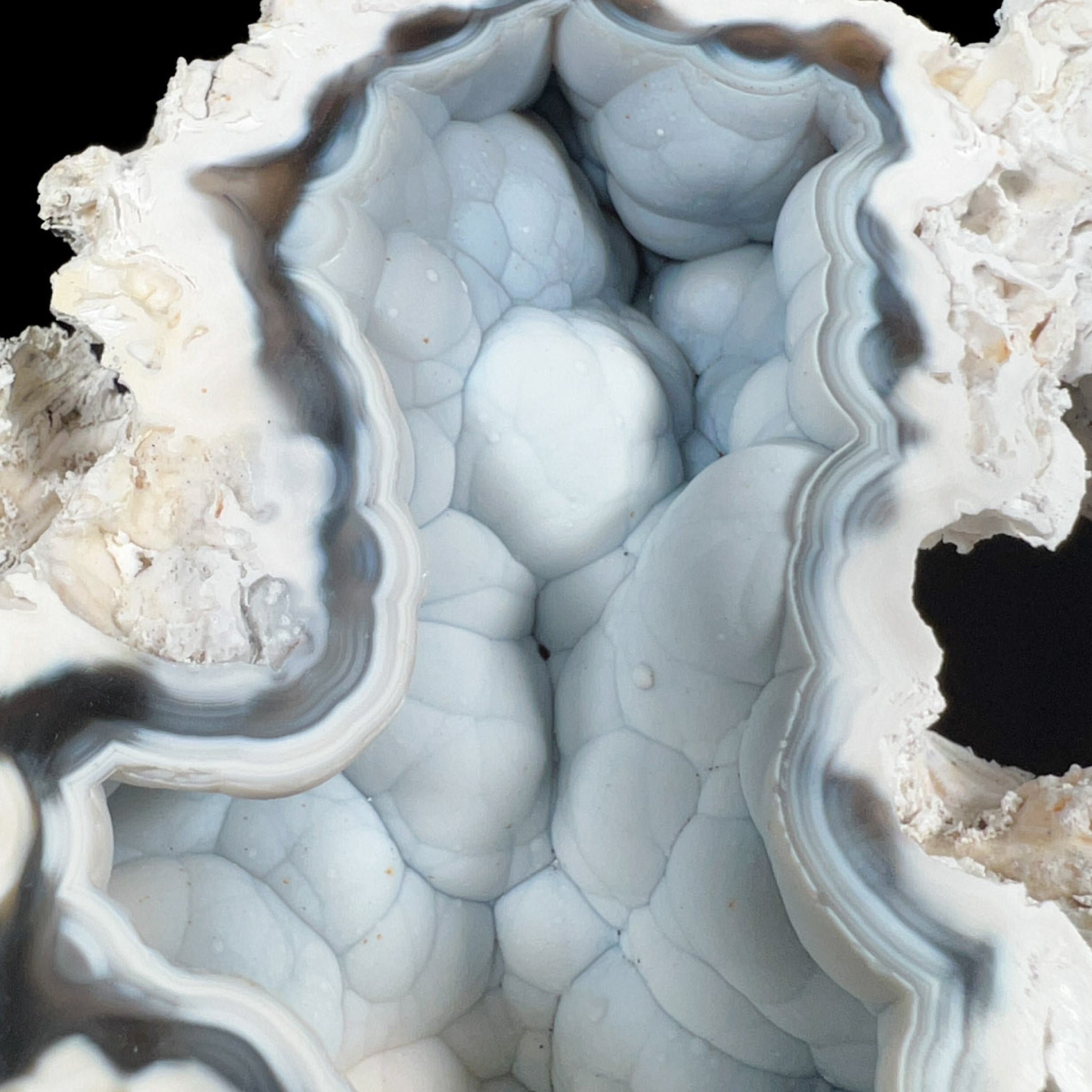 Botryoidal Chalcedony Crystals Inside Fossil Coral