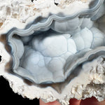 Close up of Chalcedony Crystals Inside Fossil Coral from Florida
