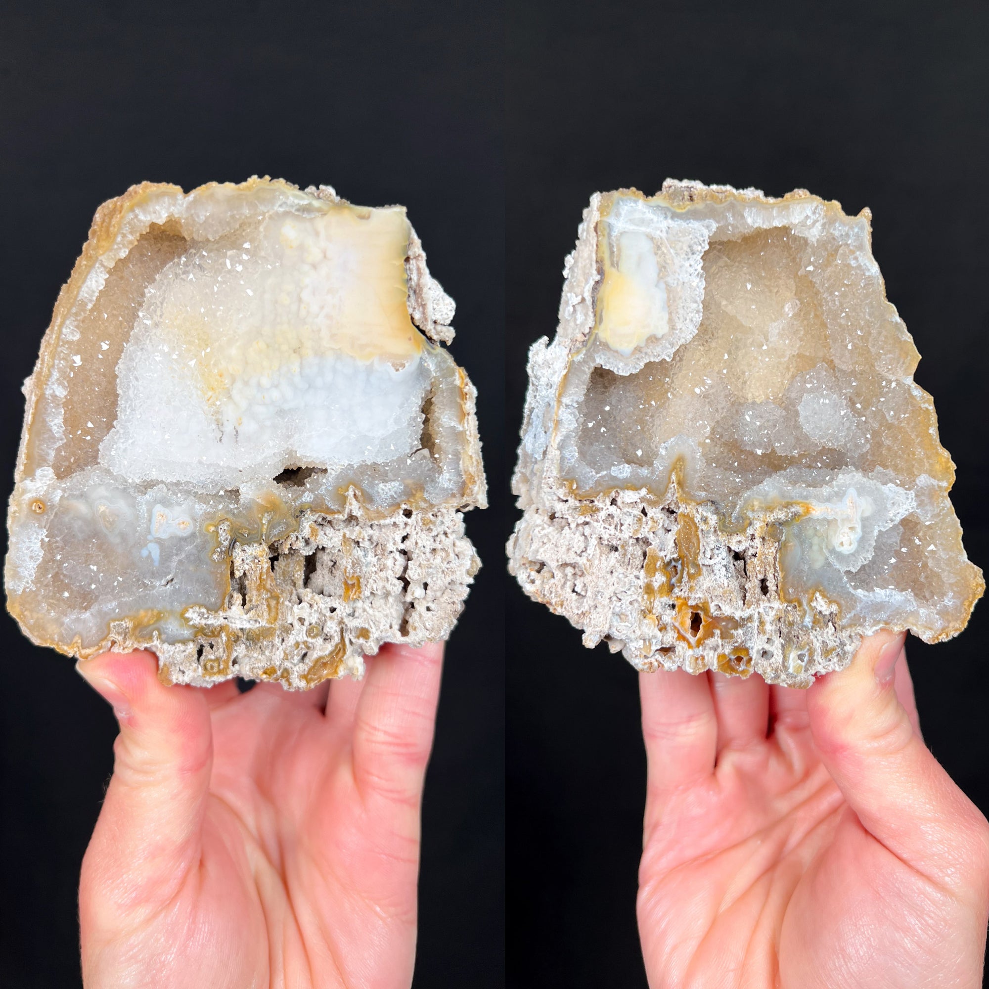 Fossilized Coral Pair with Drusy Quartz Crystals
