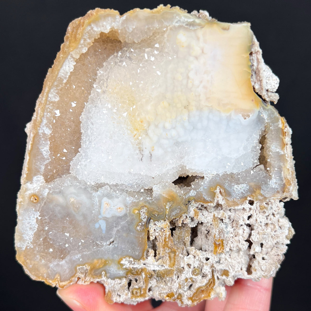 Quartz and Chalcedony Inside Fossil Coral