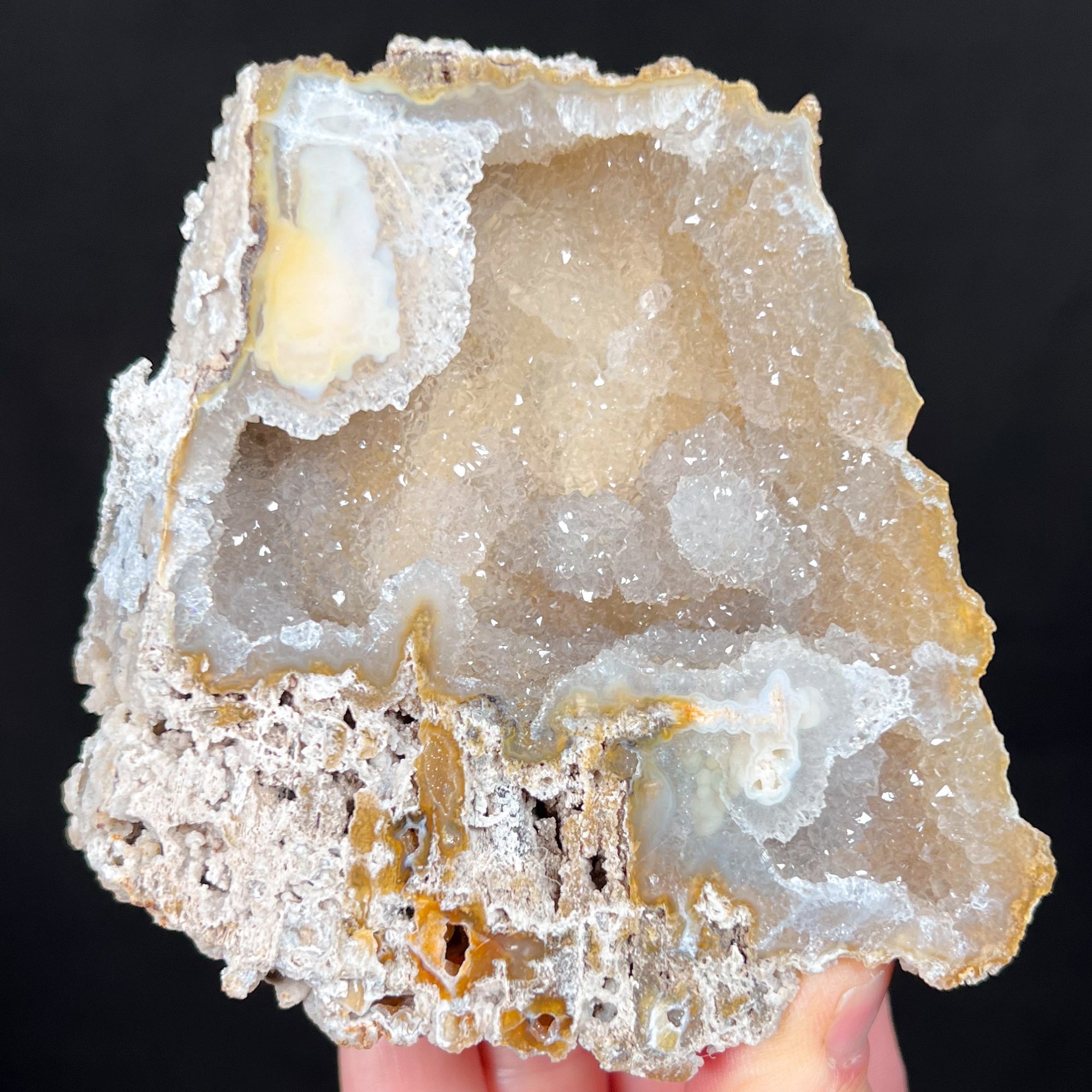 Drusy Quartz Crystals Inside Fossil Coral
