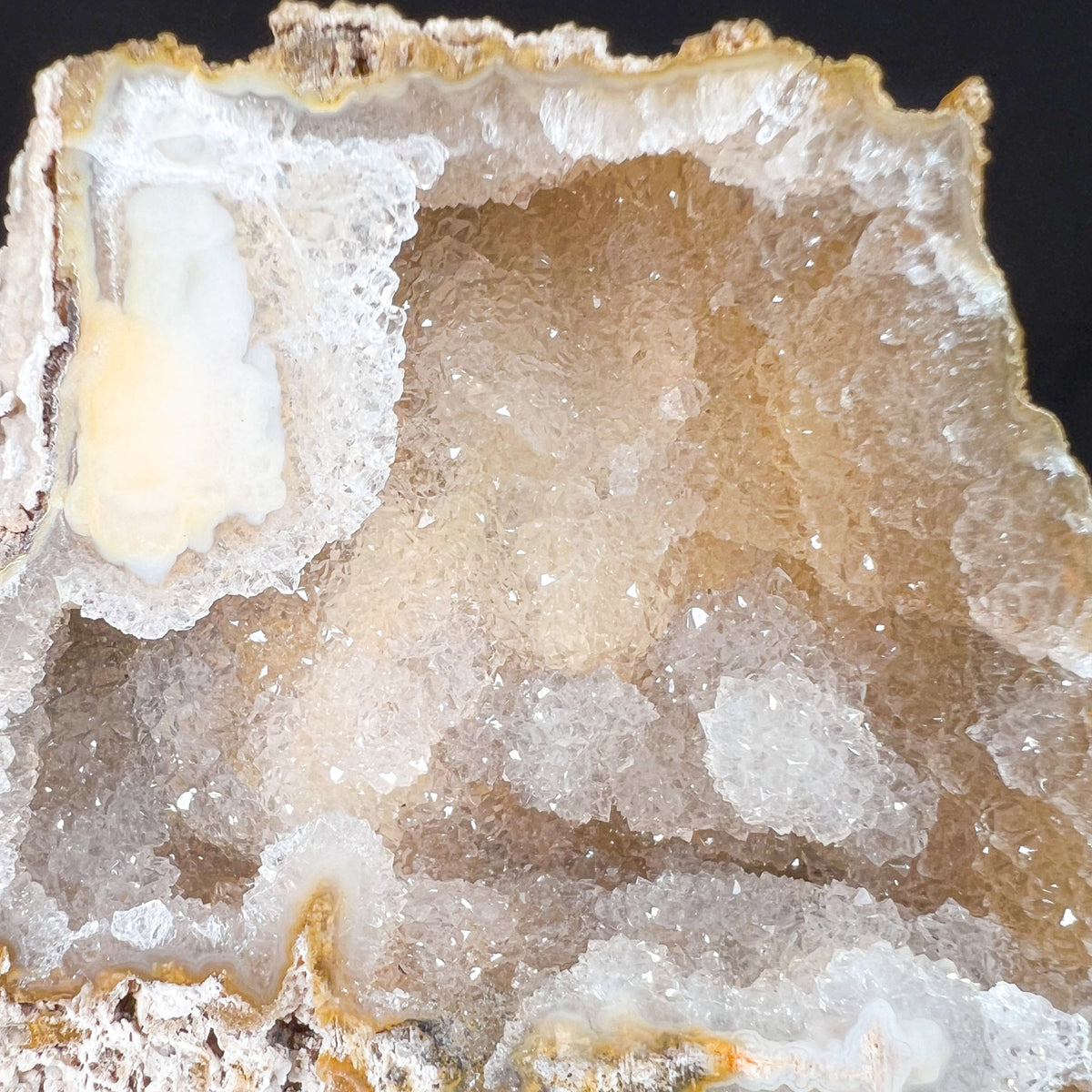 Drusy Quartz Crystals within Fossil Coral from Florida