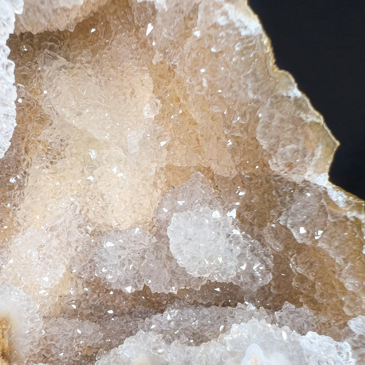 Close Up of Drusy Quartz Crystals In Fossil Coral