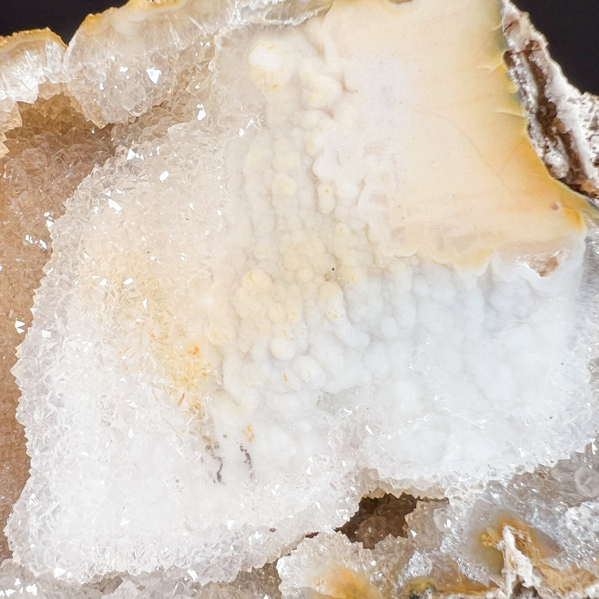 Chalcedony Inside Fossilized Coral