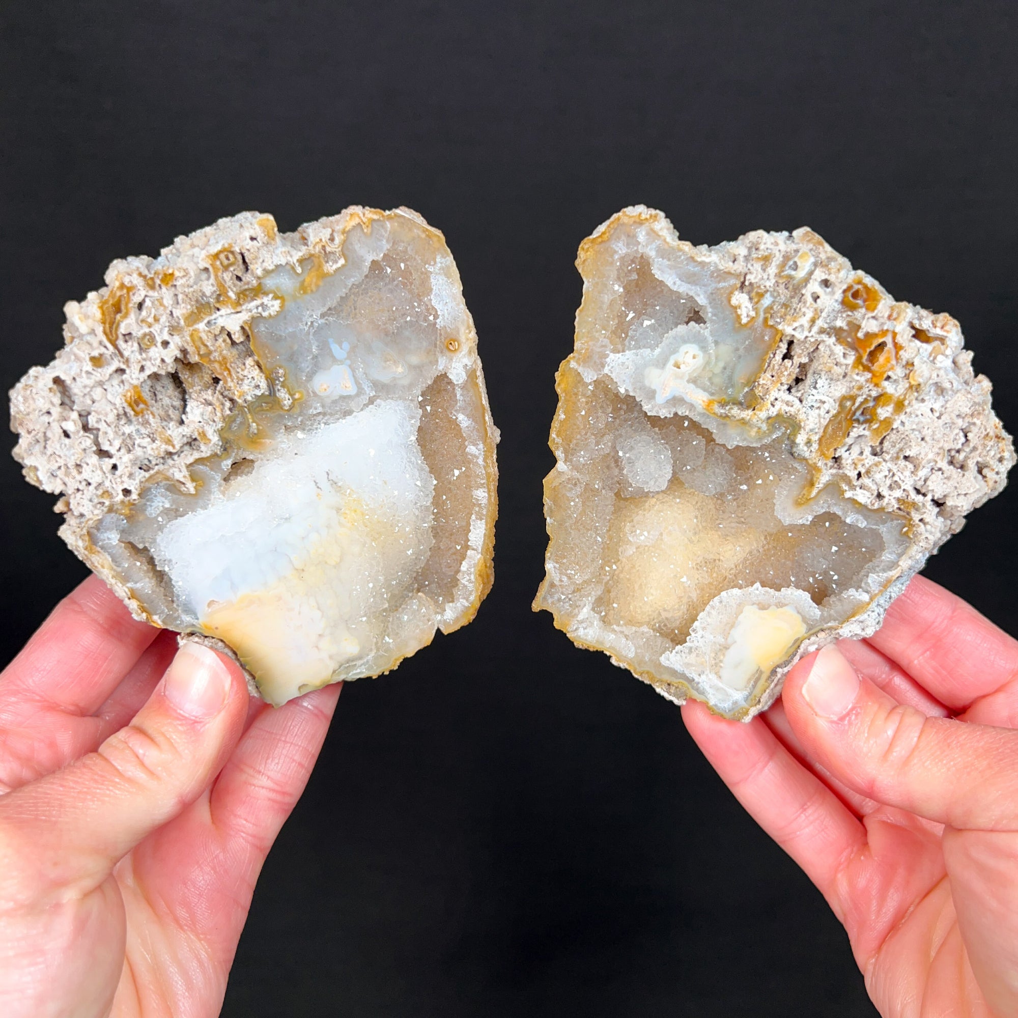 Drusy Quartz Crystals Inside Fossil Coral
