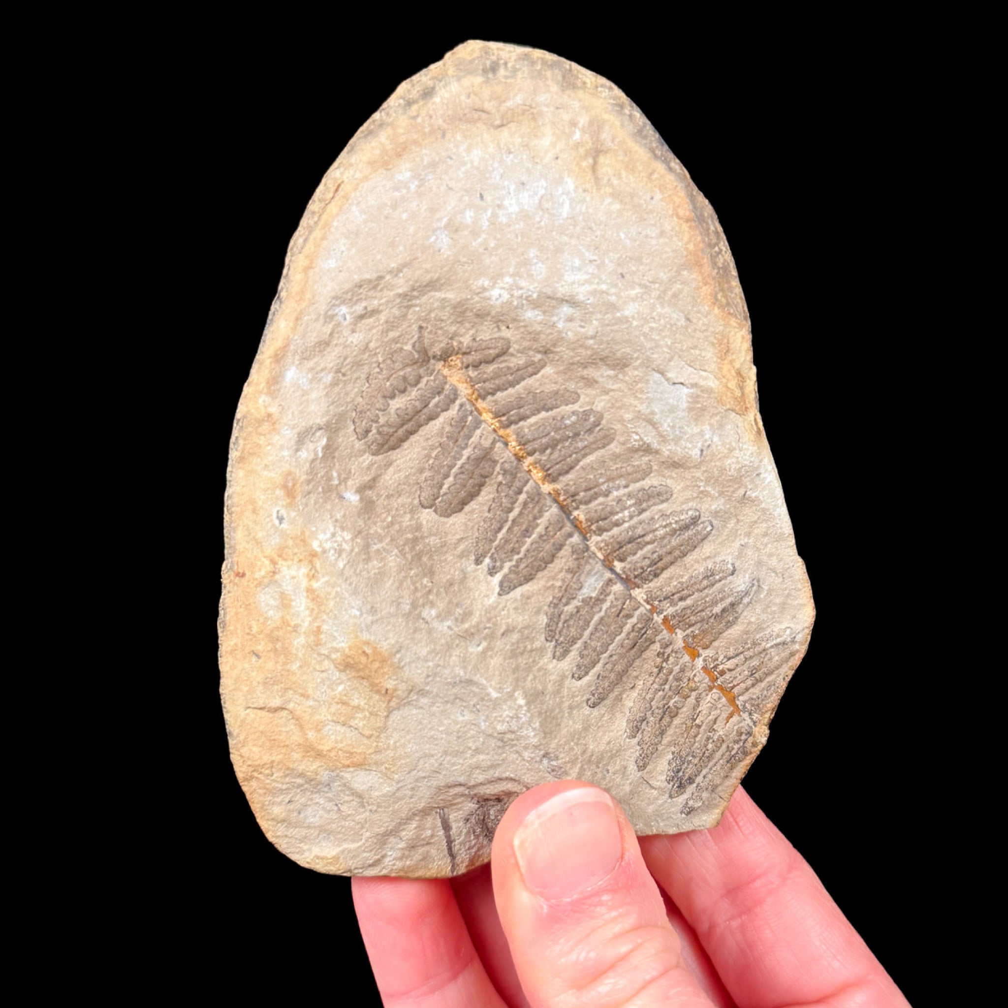 View of the stone with both sides closed together