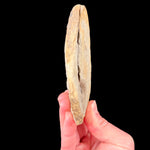 Side view of the stone fossil pair stone when closed