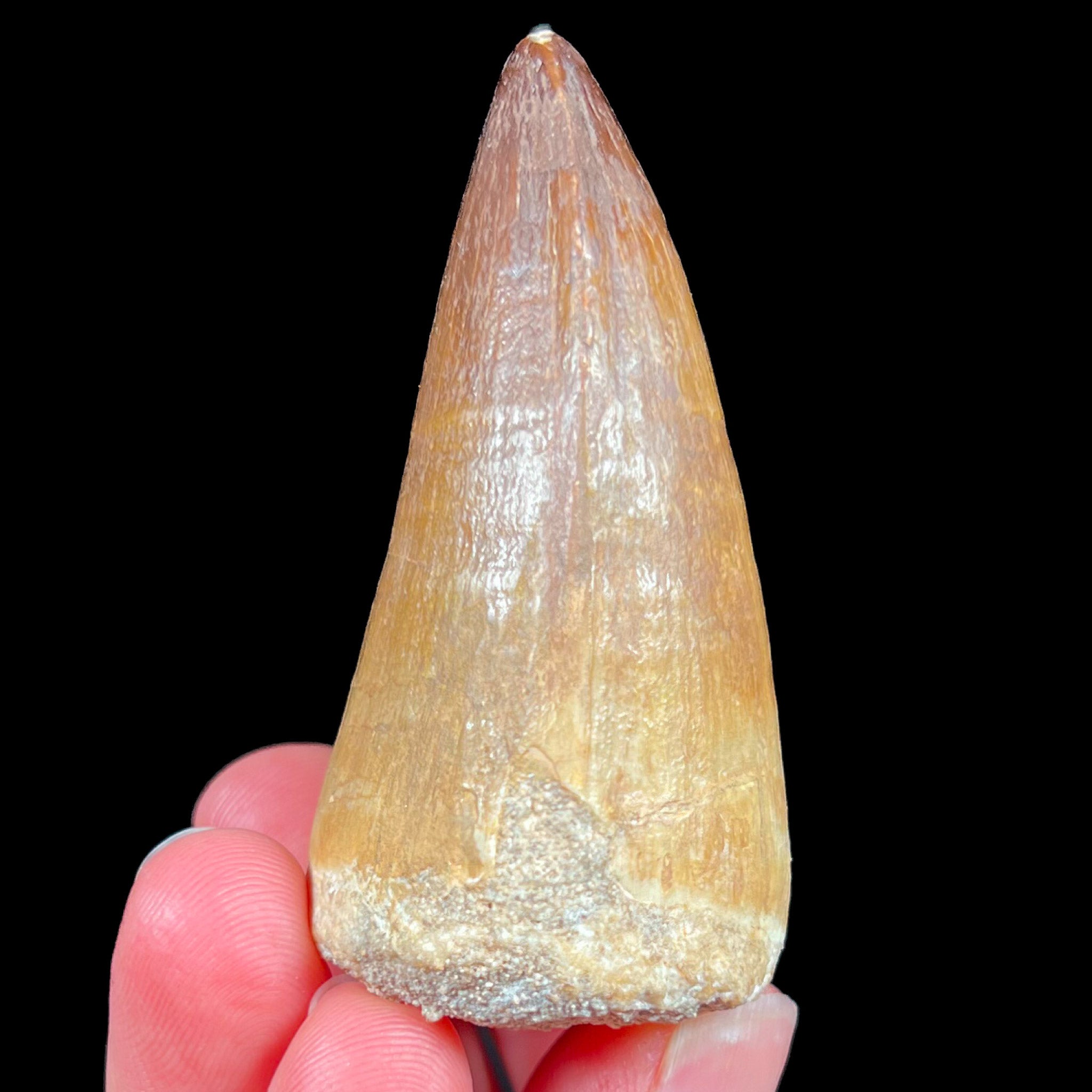 Side View