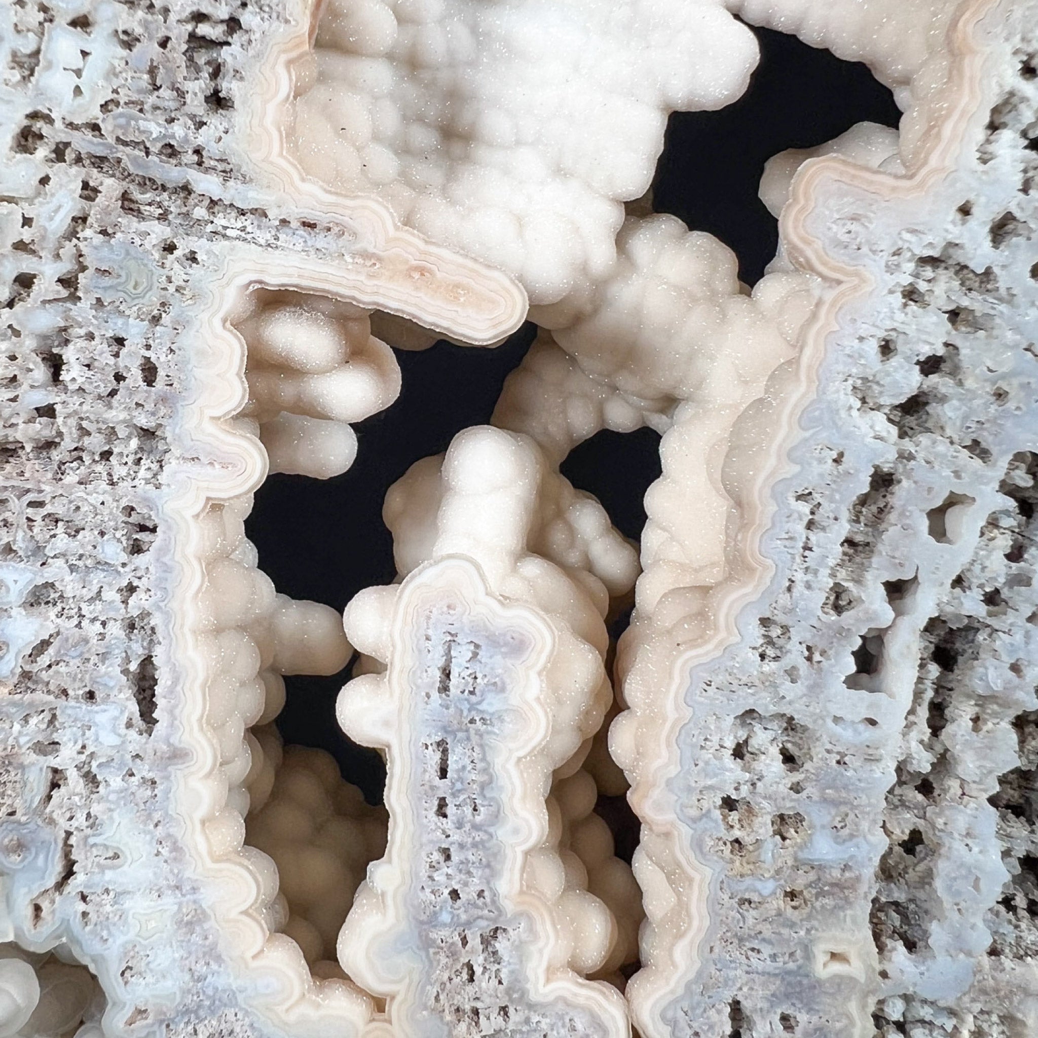 Quartz Crystals and Chalcedony Inside Fossil Coral from Florida