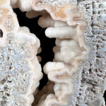 Stalactitic Quartz Crystals Inside Fossil Coral
