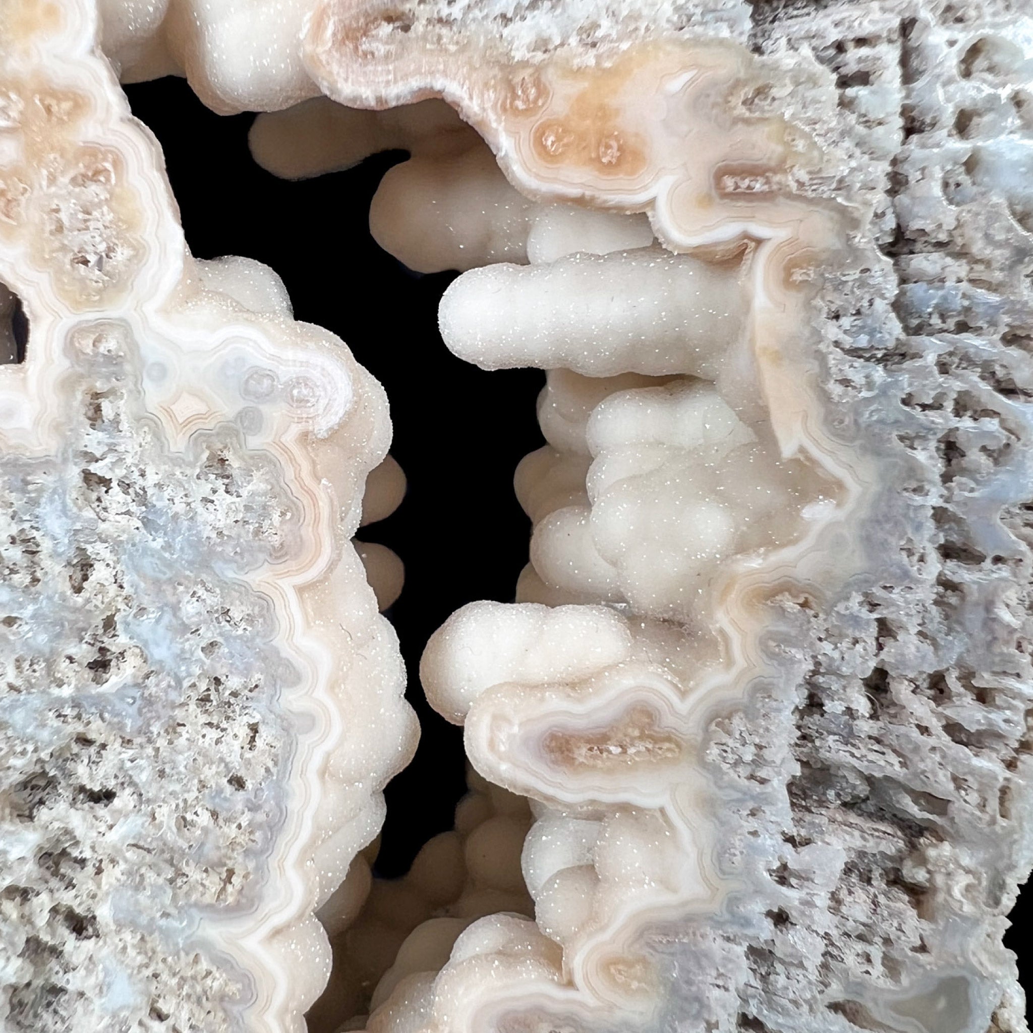 Stalactitic Quartz Crystals Inside Fossil Coral