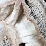 Drusy Quartz Crystals Inside Fossilized Coral
