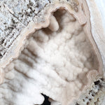 Drusy Quartz Crystals Inside Fossil Coral