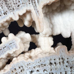 Stalactitic Quartz Crystals Inside Fossil Coral