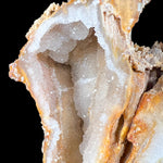 Quartz Crystals Inside Fossil Coral from Florida