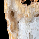Fossil Coral with Drusy Quartz Crystals Inside