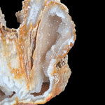 Quartz Crystals Inside Fossil Coral from Florida