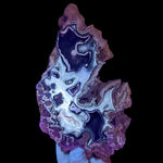 Fossil Coral displaying UV Fluorescence