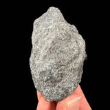 Reverse side of garnet schist specimen